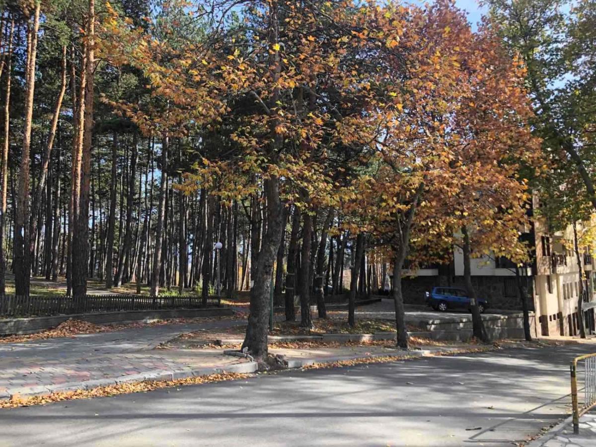 韦林格勒Borov Park 1公寓 外观 照片