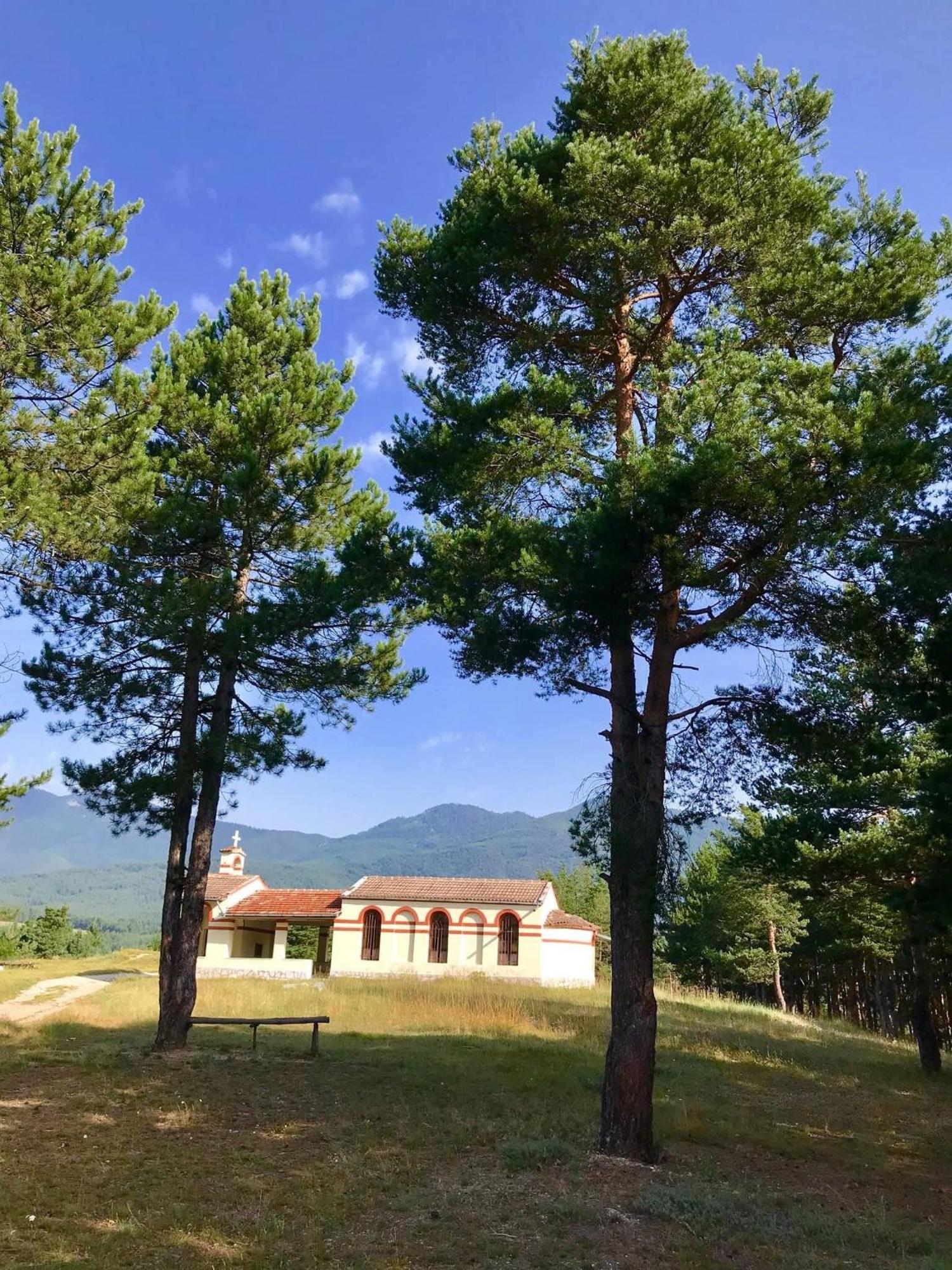 韦林格勒Borov Park 1公寓 外观 照片